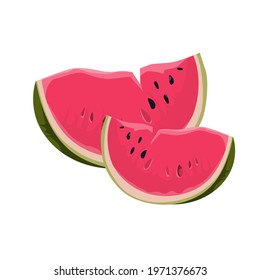 Watermelon isolated on white background. Two juicy slices of watermelon. Vector illustration