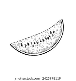 Watermelon isolated on white background. Hand-drawn ink illustration in retro engraving style. Detailed vector drawing.