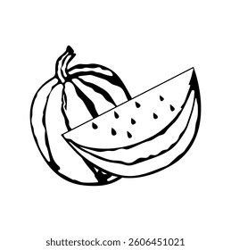 Watermelon isolated on white background. Vector black white illustration