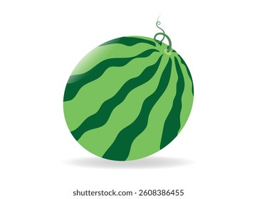 Watermelon isolated on white background. Vector illustration. Watermelon vector. Flat style. Summer.