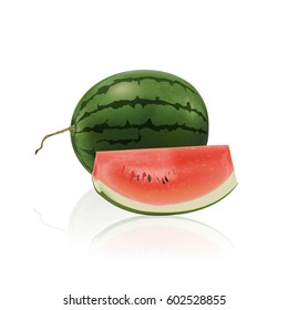 watermelon isolated on white background, vector illustration.