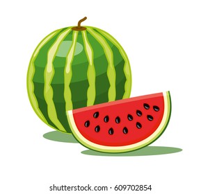 Watermelon isolated on white background. Vector illustration.