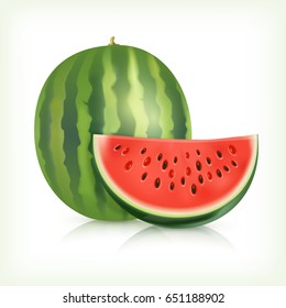 Watermelon isolated on white background. Vector image