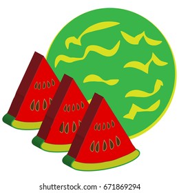 Watermelon isolated on white background. Vector iluustration.
