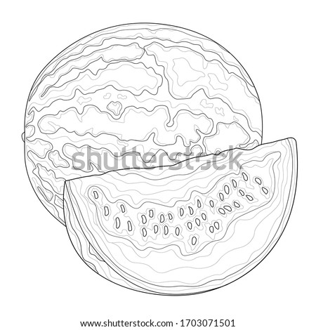 
Watermelon isolated on white background. Fruit.Black and white drawing.Coloring book antistress for children and adults. Illustration isolated on white background.Zen-tangle style.