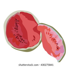 Watermelon Isolated on white, Watermelon fruit in watercolor technique Vector. 