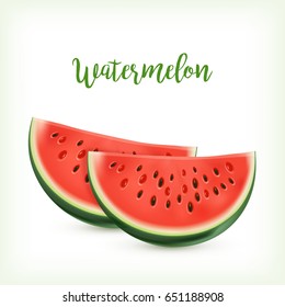 Watermelon isolated vector on white background