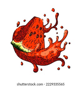 watermelon juice hand drawn vector. fruit summer, melon drink, slice smoothie, fresh sweet, red water, food cocktail watermelon juice sketch. isolated color illustration