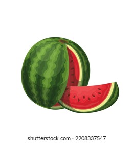 Watermelon and juicy watermelon slice vector illustration.