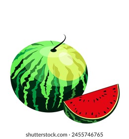 Watermelon and juicy slices, green leaves and yellow watermelon flower vector illustration in flat design. Summer food concept illustration isolated on white background.