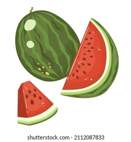 Watermelon and juicy slices of watermelon vector illustration in flat style, isolated on white for any design