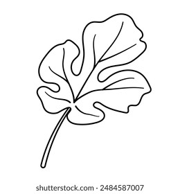 Página para colorear línea de hoja de sandía. Dibujado a mano Estilo de garabato de moda aislado botánico negro y blanco ilustración para colorear libro. Ilustración vectorial