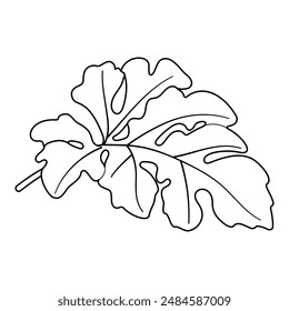 Página para colorear línea de hoja de sandía. Dibujado a mano Estilo de garabato de moda aislado botánico negro y blanco ilustración para colorear libro. Ilustración vectorial