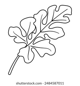 Página para colorear línea de hoja de sandía. Dibujado a mano Estilo de garabato de moda aislado botánico negro y blanco ilustración para colorear libro. Ilustración vectorial