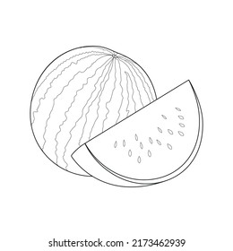 Watermelon Line Art Illustration Summer Fruit Stock Vector (Royalty ...