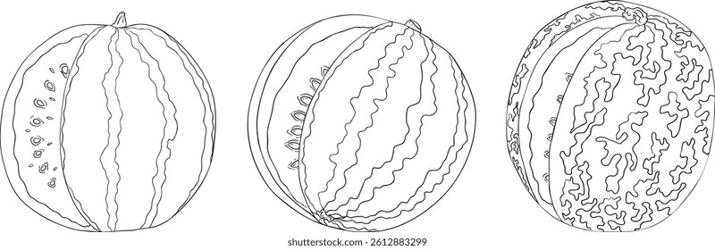 Watermelon line illustration set. Watermelon fruit vector set. Illustration of watermelon for coloring pages