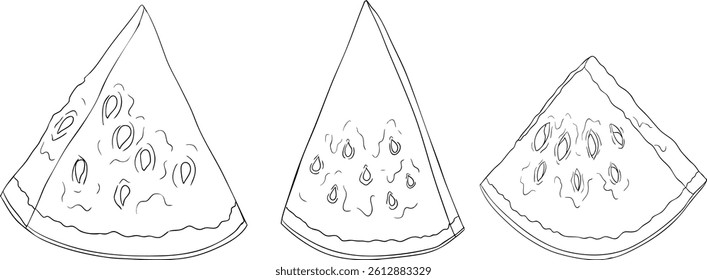 Watermelon line illustration set. Watermelon fruit vector set. Illustration of watermelon for coloring pages
