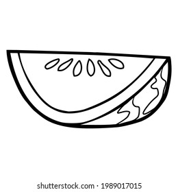 watermelon line vector illustration,
isolated on white background.top view