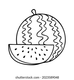 ilustración vectorial de línea de sandía, aislada en fondo blanco, vista superior
