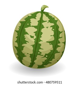 Watermelon/
llustration of an appetizing cartoon summer watermelon