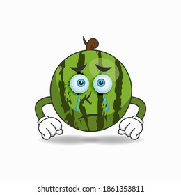 Caracter de mascota de sandía con expresión triste. ilustración vectorial