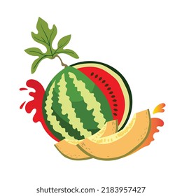 Wassermelonen und Melonen-Scheiben. Vektorgrafik einzeln auf weißem Hintergrund.
