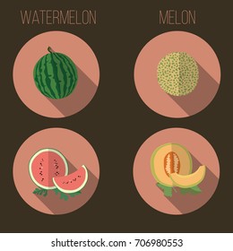 Watermelon and melon vector illustration, summer juicy fruits