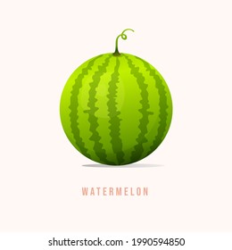 Watermelon Ilustración vectorial de estilo moderno.