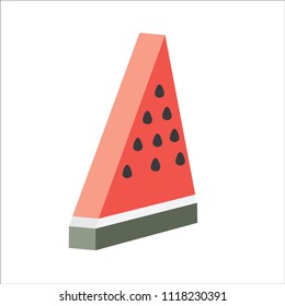 watermelon modern vector