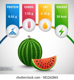 Watermelon nutrients vector. Protein, carbs, fat, energy