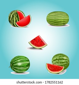 Watermelon on color background. Vector illustration, Watermelon icon set

