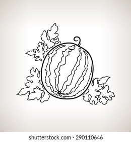 Watermelon on a Light Background, Line Style, Black and White Vector Illustration