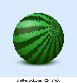 Watermelon on a light background. Vector illustration.