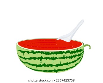 Watermelon on a white background.