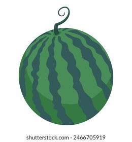 Watermelon, on white background, hand-drawn vector flat illustration