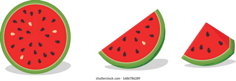 watermelon on a white background. Vector illustration