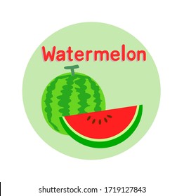 Watermelon on white background  Vector
