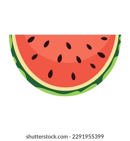 Watermelon on white background, vector illustration