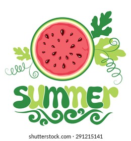 watermelon on white background. Vector illustration