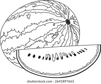 Watermelon Outline Art – A clean and minimal line drawing of a watermelon, ideal for food icons, summer themes, and natural product designs.