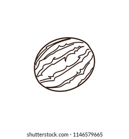 Watermelon outline illustration. Vector doodle sketch hand drawn fruit illustration	