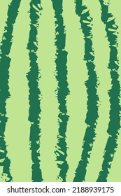 Watermelon pattern. Green stripes of watermelon background. Vector illustration.