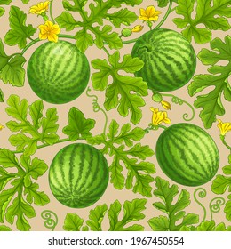 watermelon pattern on color background