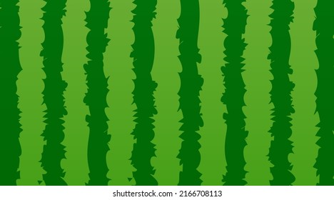 Watermelon pattern texture stripe vector background. Summer watermelon cartoon background