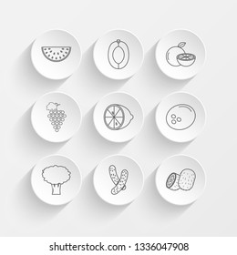 watermelon, Peach, Orange, label grapes and lemon icons on plate illustration set