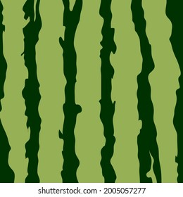 Patrón verde de cáscara de sandía. Fruta, comida, fondo de verano, textura.