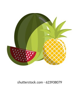 watermelon and pineapple fruit icon