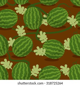 Water-melon plantation seamless pattern. Fruity vector background. Texture plants on bed. Plot sowed watermelons 