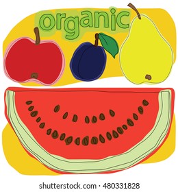 Watermelon, plum, pear and apple.Vector illustration.