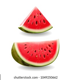 Watermelon realistic icon illustration, vector